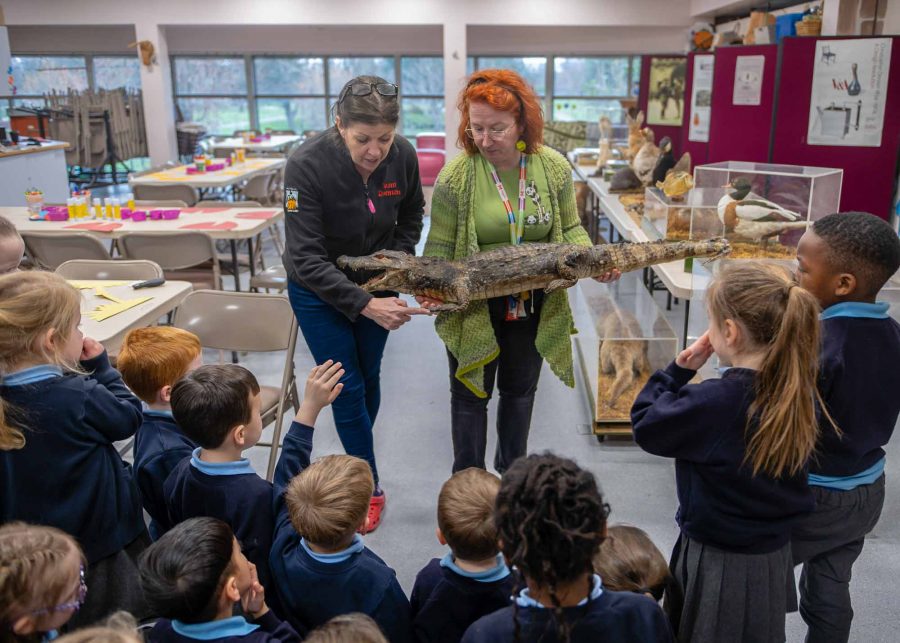Two Learning officers show a group of school children a stuffed aligator